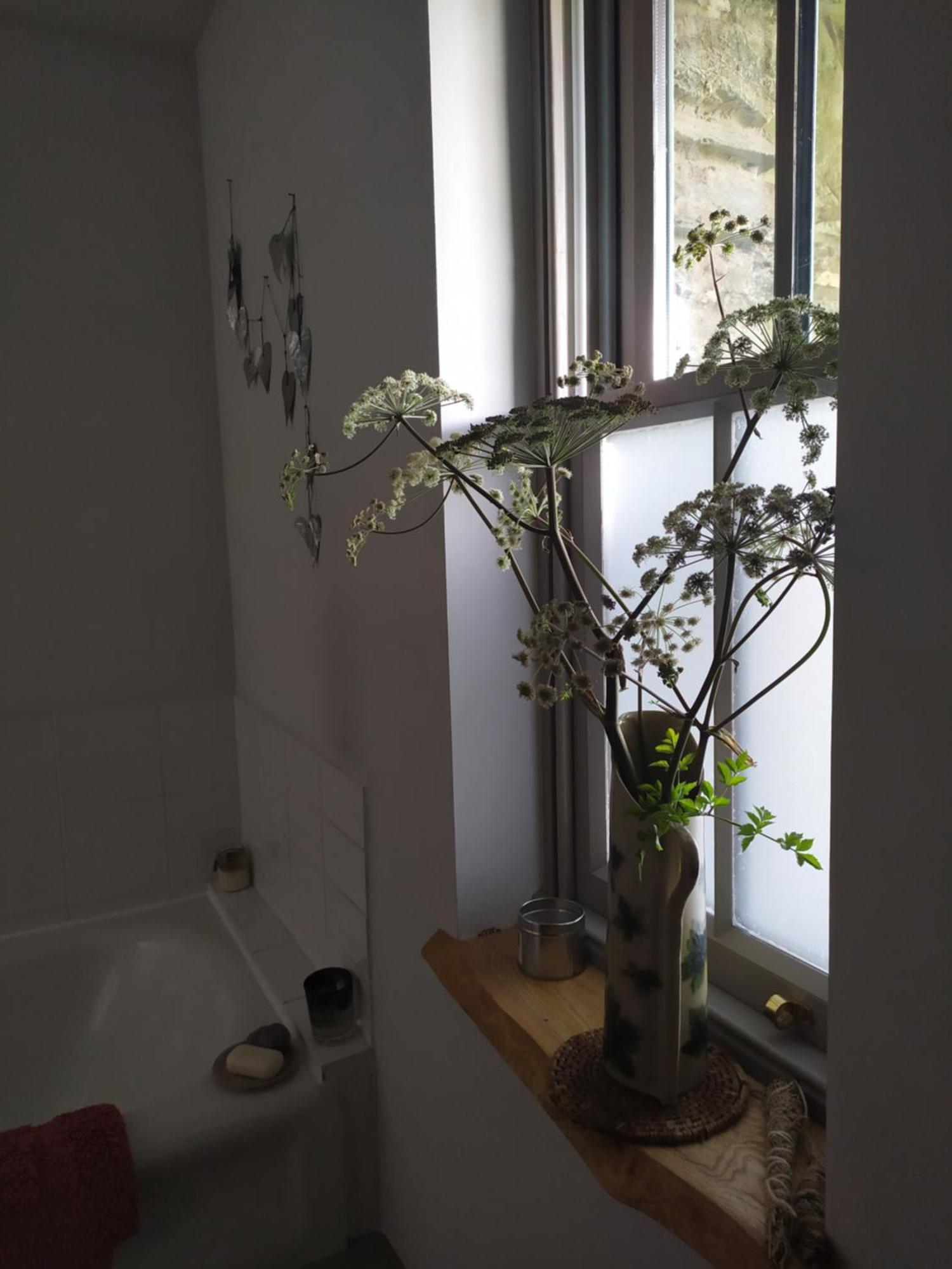 Ballimackillichan Croft Isle of Lismore Εξωτερικό φωτογραφία
